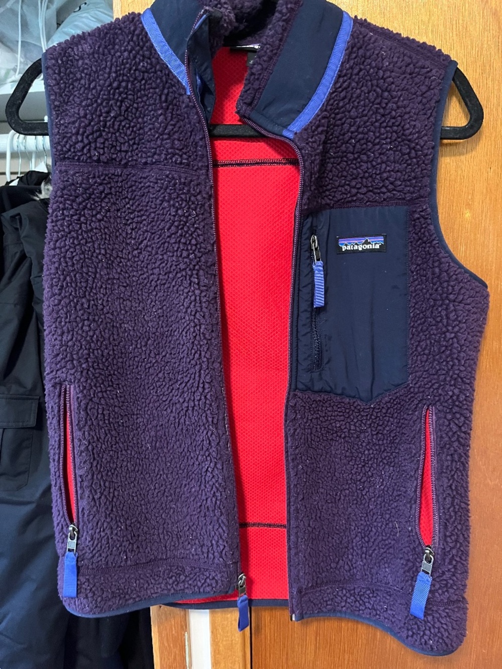 Patagonia retro x vest